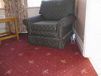 Pigeon in hotel room 1